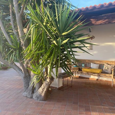 Villa Dimorra Sun&Relax Forio di Ischia Exterior foto