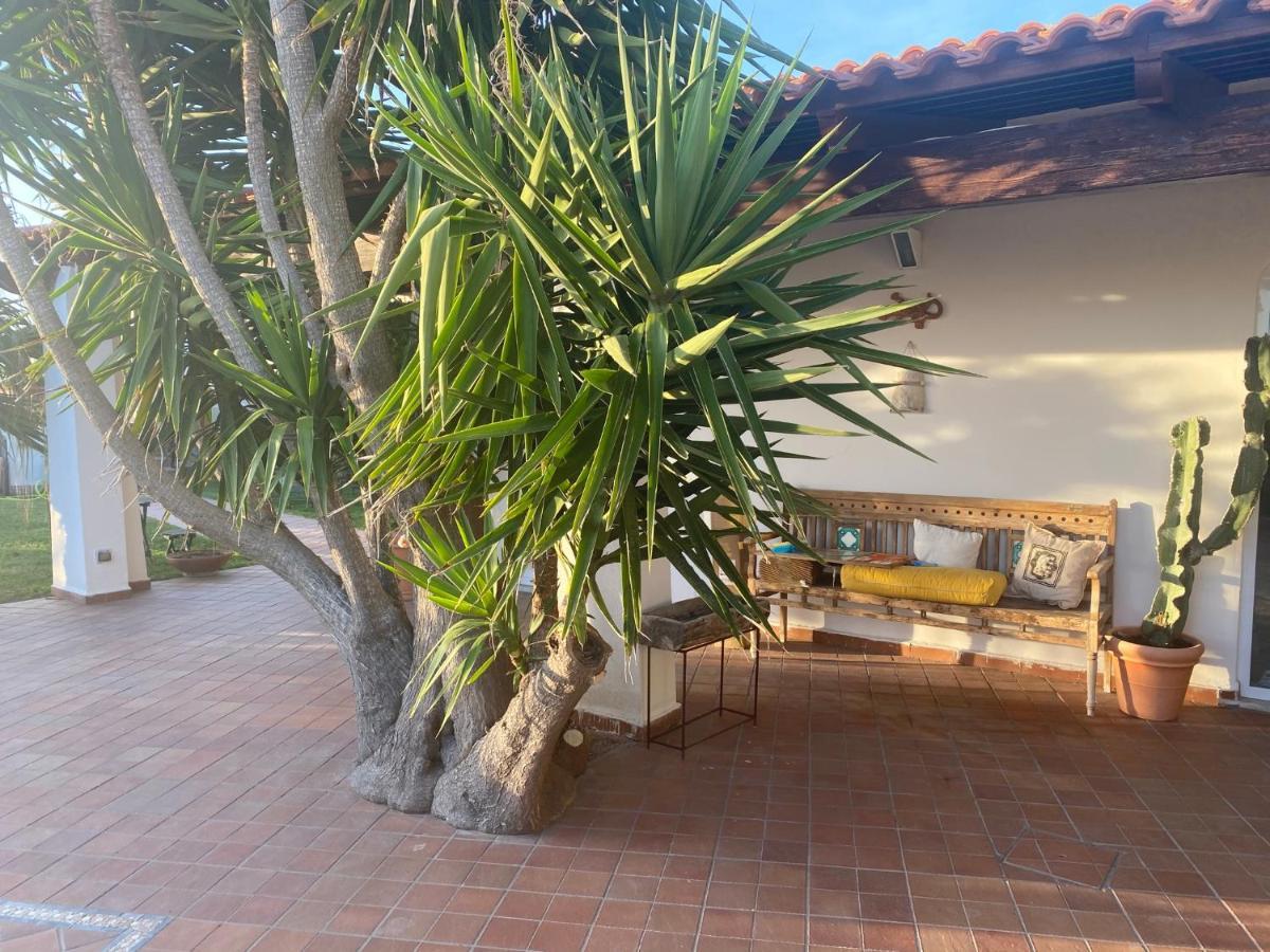 Villa Dimorra Sun&Relax Forio di Ischia Exterior foto